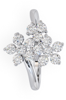 collection-sub-image